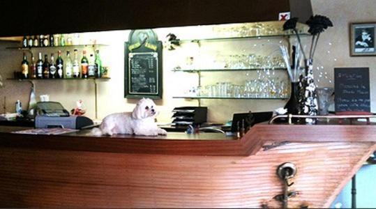 Grand Hotel De L'Etoile กูร์เตอเนย์ ภายนอก รูปภาพ